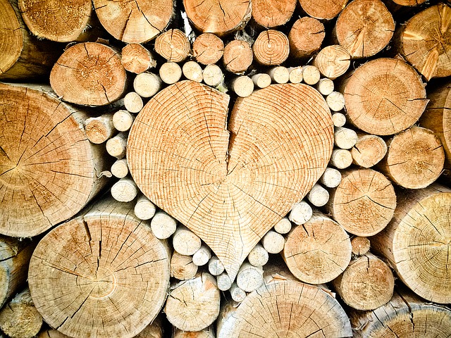 dřevěné srdce